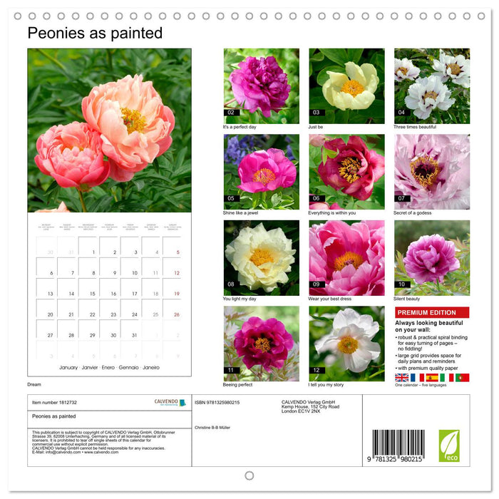 Peonies as painted (CALVENDO Monthly Calendar 2025)