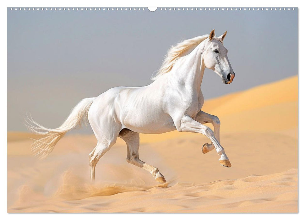 White Horses in Splendor (CALVENDO Monthly Calendar 2025)