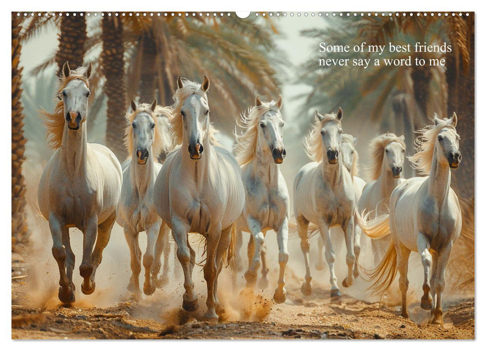 A Horse Makes You Complete (CALVENDO Premium-Calendar 2025)