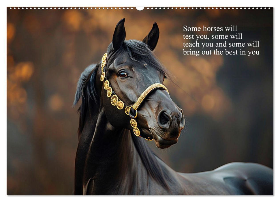 A Horse Makes You Complete (CALVENDO Premium-Calendar 2025)