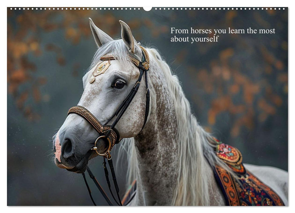 A Horse Makes You Complete (CALVENDO Premium-Calendar 2025)