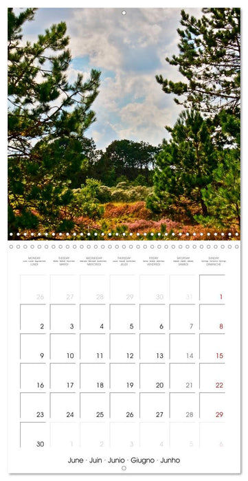 German Landscapes (CALVENDO Monthly Calendar 2025)