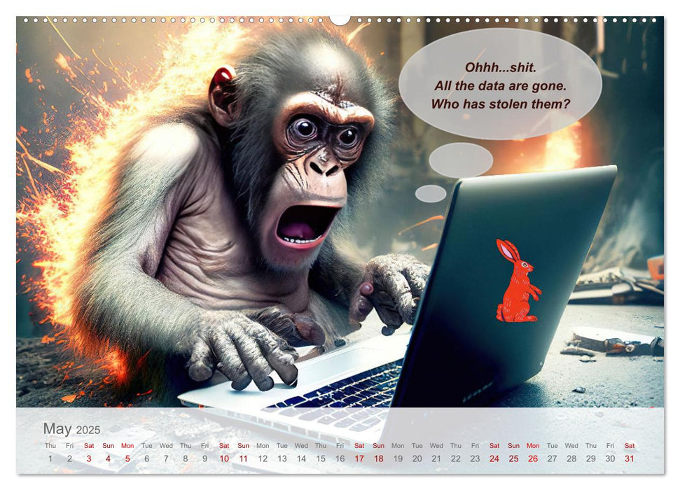 You really think you are an IT expert (CALVENDO Premium-Calendar 2025)