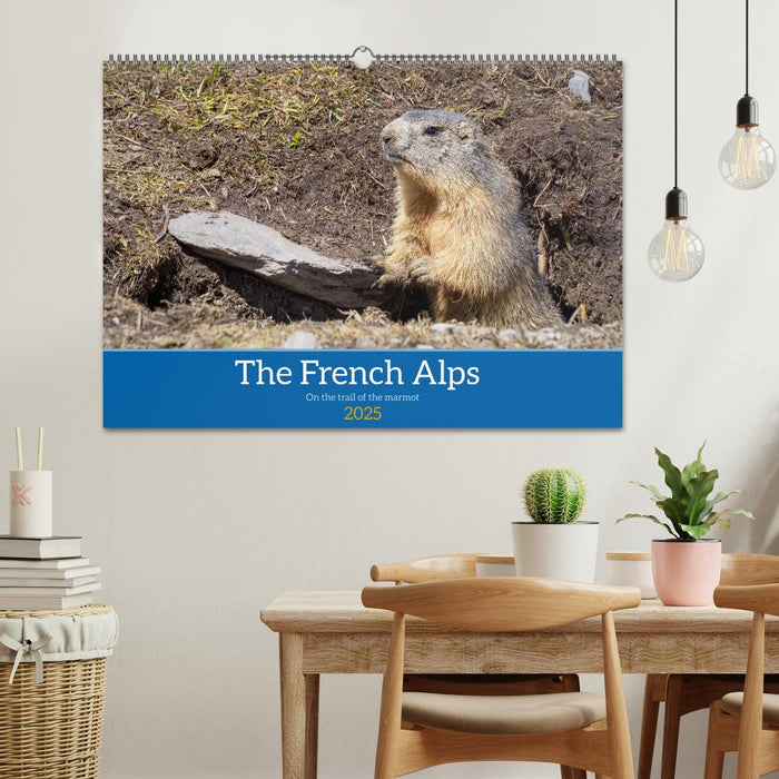 The French Alps, on the trail of the marmot (CALVENDO Monthly Calendar 2025)