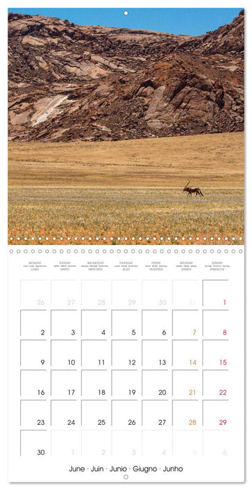 Namibian desert (CALVENDO Monthly Calendar 2025)