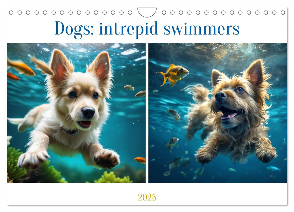 Dogs: intrepid swimmers (CALVENDO Monthly Calendar 2025)