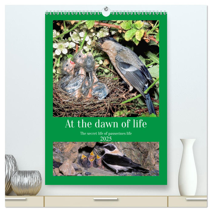 At the dawn of life the secret life of passerines (CALVENDO Premium-Calendar 2025)