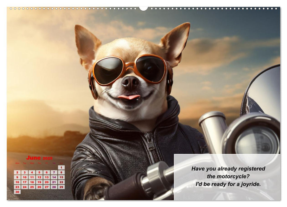 Great fun for Chihuahua lovers (CALVENDO Monthly Calendar 2025)