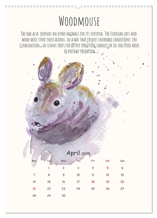 Symbiosis, the story of collaborations in nature (CALVENDO Monthly Calendar 2025)