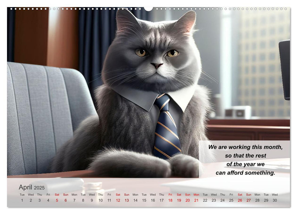 The humoristic cat guide (CALVENDO Monthly Calendar 2025)