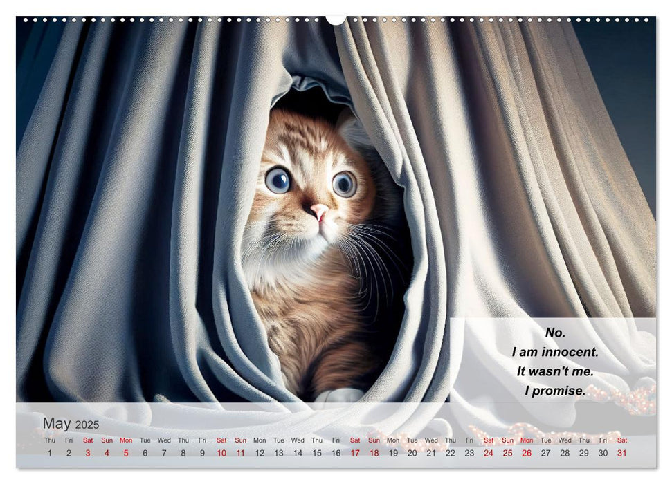 The humoristic cat guide (CALVENDO Monthly Calendar 2025)