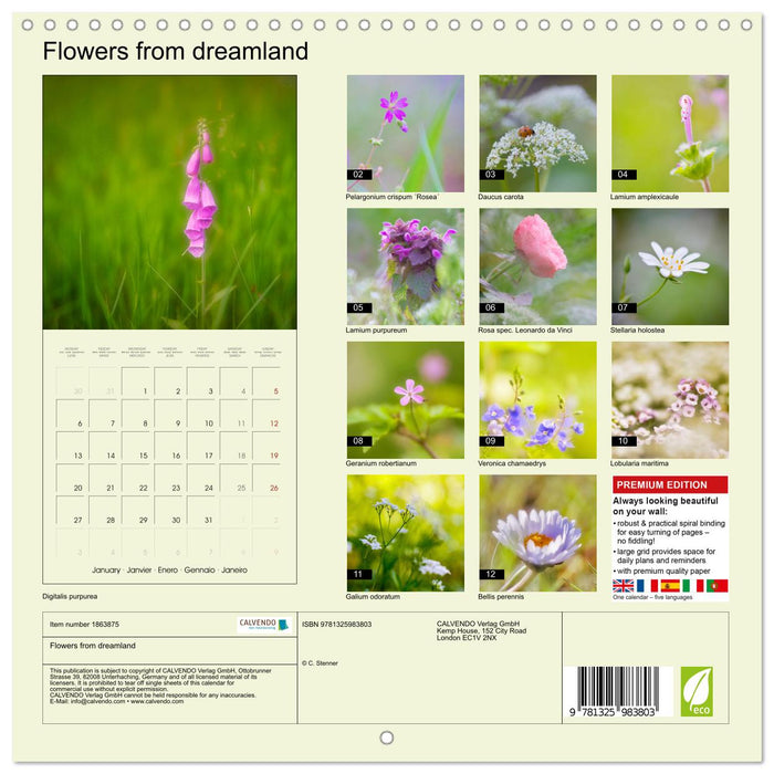 Flowers from dreamland (CALVENDO Monthly Calendar 2025)