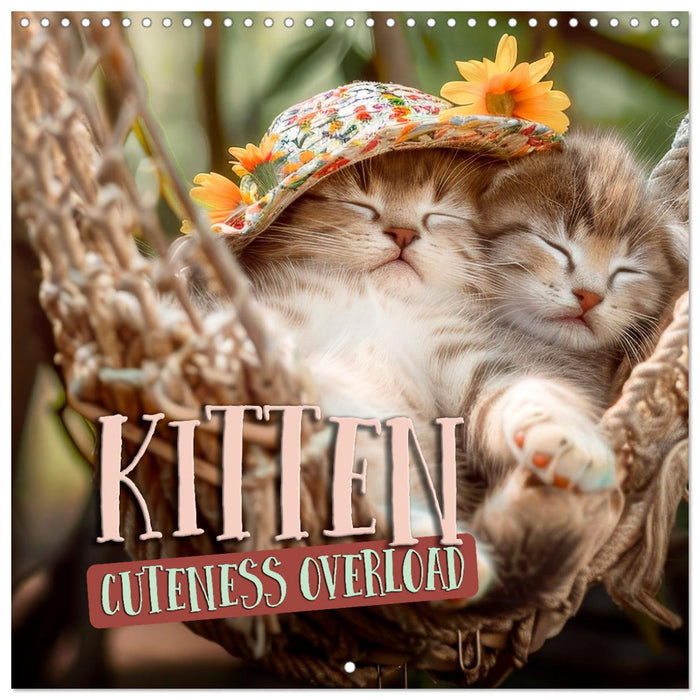 KITTEN Cuteness overload (CALVENDO Monthly Calendar 2025)