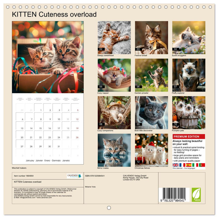 KITTEN Cuteness overload (CALVENDO Monthly Calendar 2025)