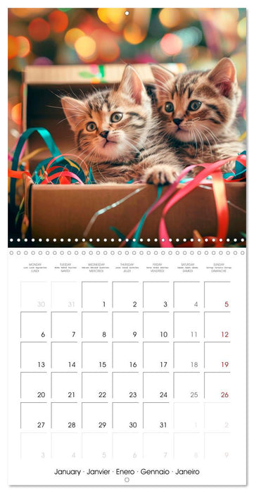 KITTEN Cuteness overload (CALVENDO Monthly Calendar 2025)