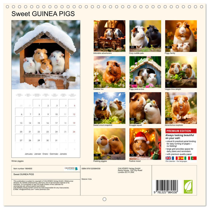 Sweet GUINEA PIGS (CALVENDO Monthly Calendar 2025)