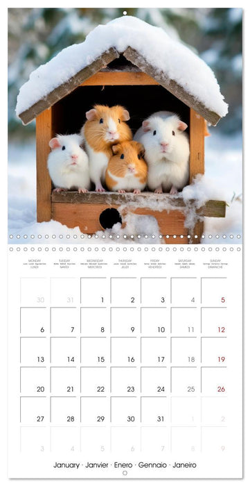 Sweet GUINEA PIGS (CALVENDO Monthly Calendar 2025)