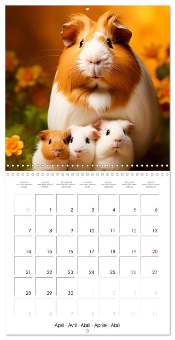 Sweet GUINEA PIGS (CALVENDO Monthly Calendar 2025)