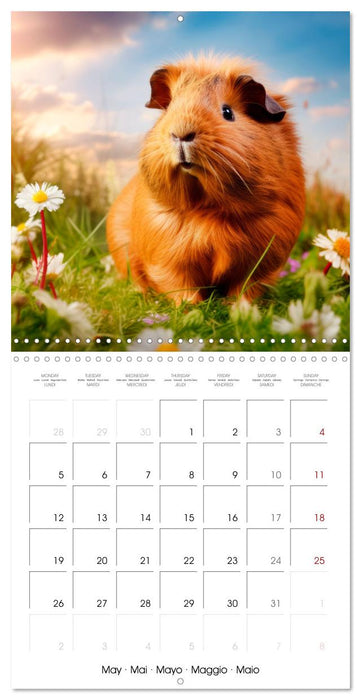 Sweet GUINEA PIGS (CALVENDO Monthly Calendar 2025)