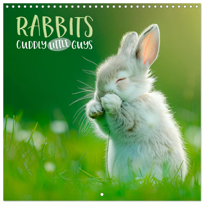 RABBITS Cuddly little guys (CALVENDO Monthly Calendar 2025)