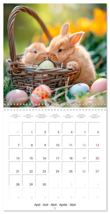 RABBITS Cuddly little guys (CALVENDO Monthly Calendar 2025)