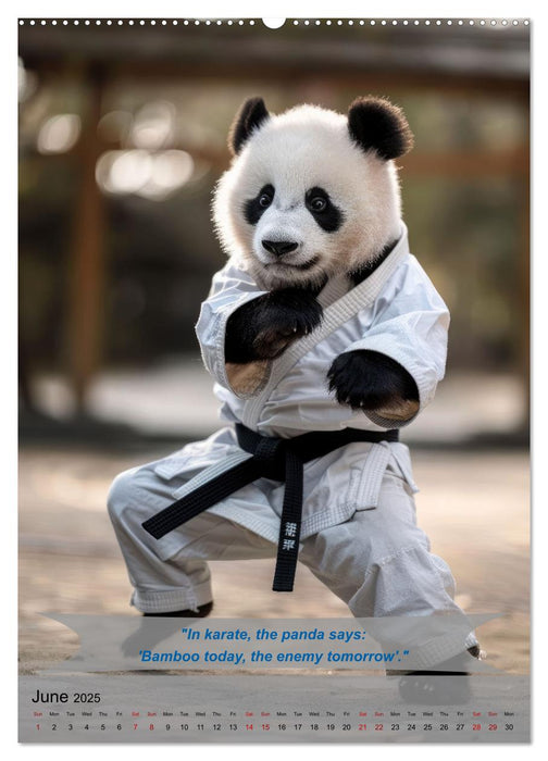 Great fun with animal karate fighters (CALVENDO Premium-Calendar 2025)