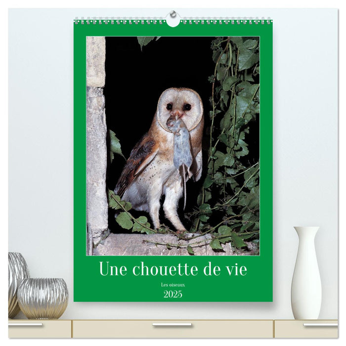 Une chouette de vie, les oiseaux (CALVENDO Calendrier supérieur 2025)