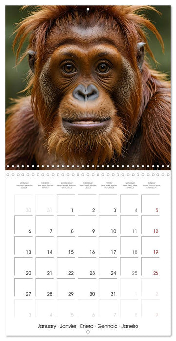 The last of this species (CALVENDO Monthly Calendar 2025)