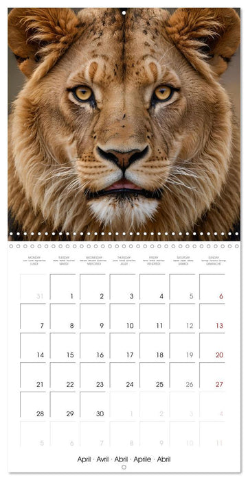 The last of this species (CALVENDO Monthly Calendar 2025)