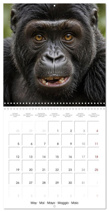 The last of this species (CALVENDO Monthly Calendar 2025)