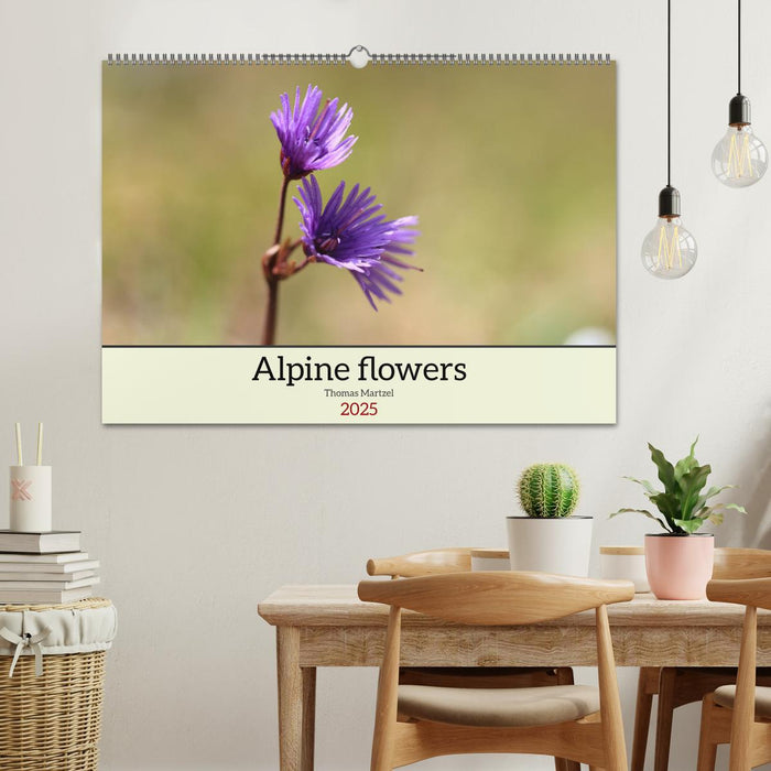 Alpine flowers (CALVENDO Monthly Calendar 2025)