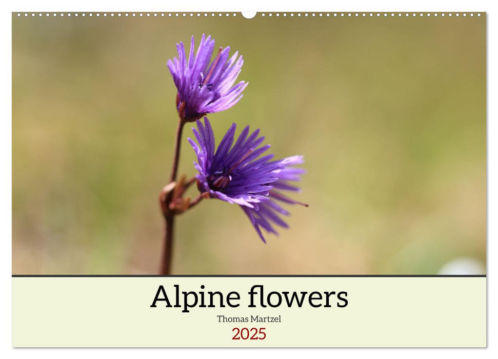 Alpine flowers (CALVENDO Monthly Calendar 2025)