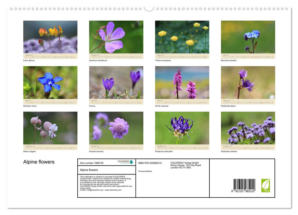 Alpine flowers (CALVENDO Premium-Calendar 2025)