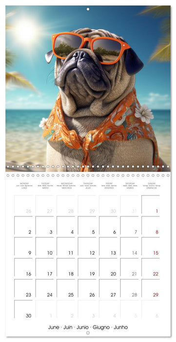 PUGS Cute and cuddly doggies (CALVENDO Monthly Calendar 2025)