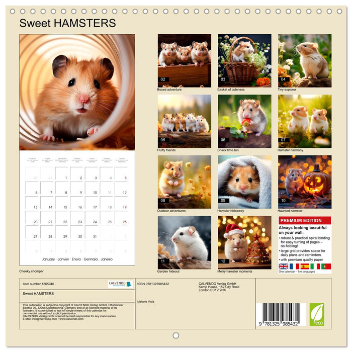 Sweet HAMSTERS (CALVENDO Monthly Calendar 2025)