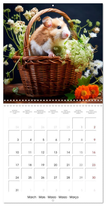 Sweet HAMSTERS (CALVENDO Monthly Calendar 2025)