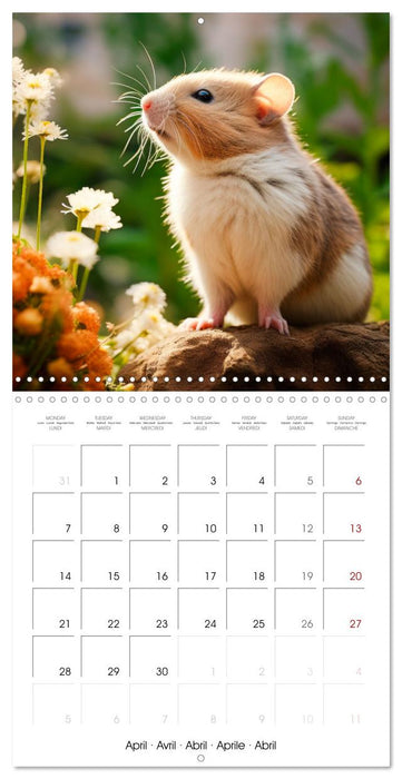 Sweet HAMSTERS (CALVENDO Monthly Calendar 2025)