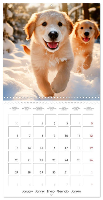 Cute PUPPY PERSONALITIES (CALVENDO Monthly Calendar 2025)