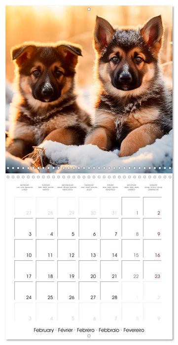 Cute PUPPY PERSONALITIES (CALVENDO Monthly Calendar 2025)