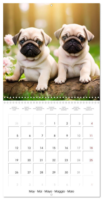 Cute PUPPY PERSONALITIES (CALVENDO Monthly Calendar 2025)