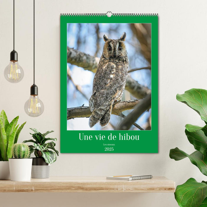 Une vie de hibou les oiseaux (CALVENDO Calendrier mensuel 2025)