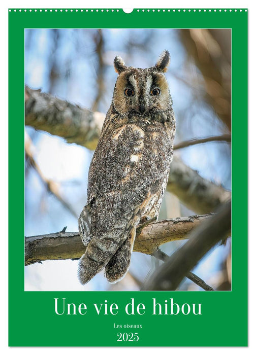 Une vie de hibou les oiseaux (CALVENDO Calendrier mensuel 2025)