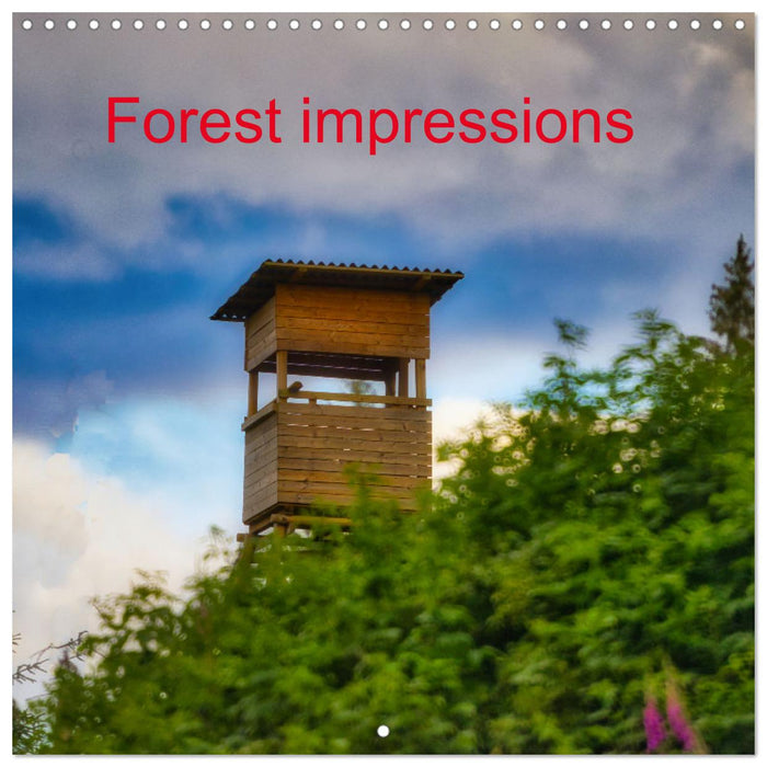 Forest impressions (CALVENDO Monthly Calendar 2025)