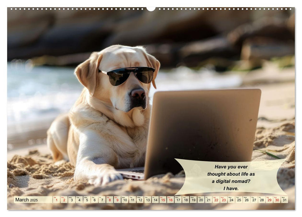 Great fun for Labrador lovers (CALVENDO Monthly Calendar 2025)