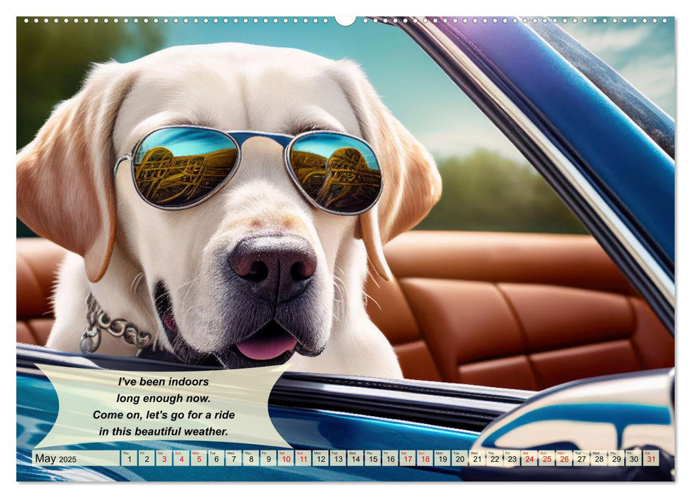 Great fun for Labrador lovers (CALVENDO Monthly Calendar 2025)