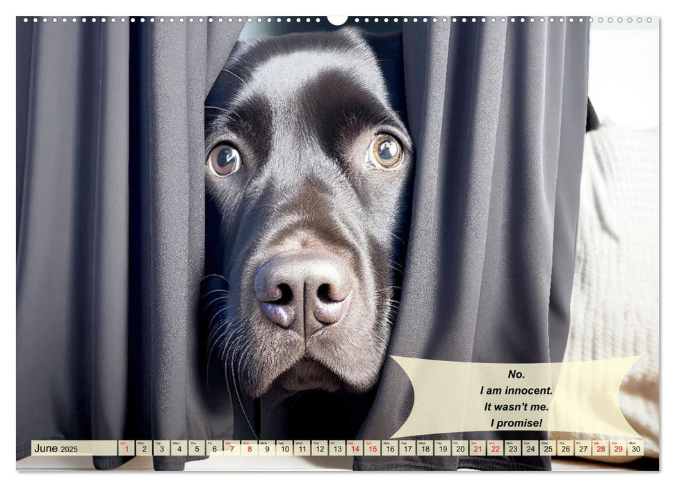 Great fun for Labrador lovers (CALVENDO Monthly Calendar 2025)