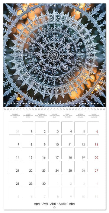 Mandalas of Mother Earth (CALVENDO Monthly Calendar 2025)