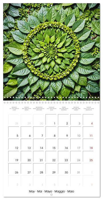 Mandalas of Mother Earth (CALVENDO Monthly Calendar 2025)