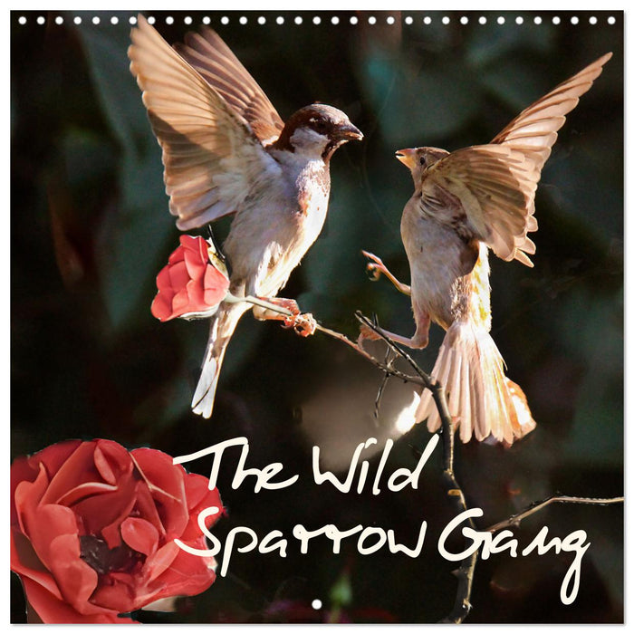 The Wild Sparrow Gang (CALVENDO Monthly Calendar 2025)