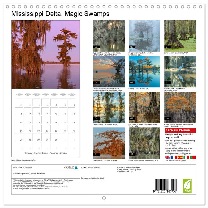 Mississippi Delta, Magic Swamps (CALVENDO Monthly Calendar 2025)